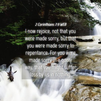 Picture 04 - 2 Corinthians 7:9 WEB - I now rejoice, not that you were made sorry, but - Bible Verse Picture