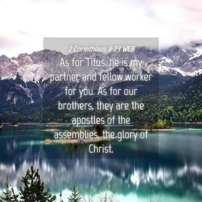 Picture 04 - 2 Corinthians 8:23 WEB - As for Titus, he is my partner and fellow worker - Bible Verse Picture