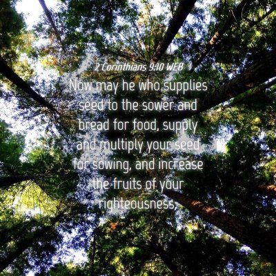 Picture 04 - 2 Corinthians 9:10 WEB - Now may he who supplies seed to the sower and - Bible Verse Picture