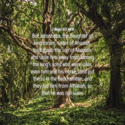 Picture 04 - 2 Kings 11:2 WEB - But Jehosheba, the daughter of king Joram, sister - Bible Verse Picture
