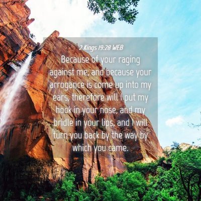 Picture 04 - 2 Kings 19:28 WEB - Because of your raging against me, and because - Bible Verse Picture