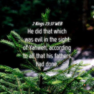 Picture 04 - 2 Kings 23:37 WEB - He did that which was evil in the sight of - Bible Verse Picture