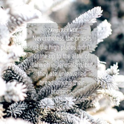 Picture 04 - 2 Kings 23:9 WEB - Nevertheless the priests of the high places - Bible Verse Picture