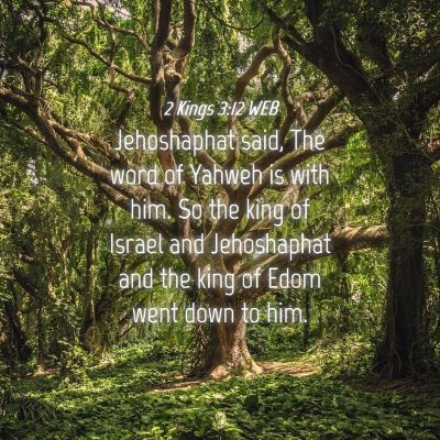 Picture 04 - 2 Kings 3:12 WEB - Jehoshaphat said, The word of Yahweh is with him. - Bible Verse Picture