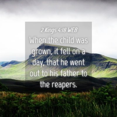 Picture 04 - 2 Kings 4:18 WEB - When the child was grown, it fell on a day, that - Bible Verse Picture