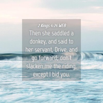 Picture 04 - 2 Kings 4:24 WEB - Then she saddled a donkey, and said to her - Bible Verse Picture