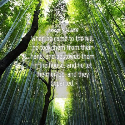 Picture 04 - 2 Kings 5:24 WEB - When he came to the hill, he took them from their - Bible Verse Picture