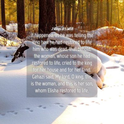 Picture 04 - 2 Kings 8:5 WEB - It happened, as he was telling the king how he - Bible Verse Picture
