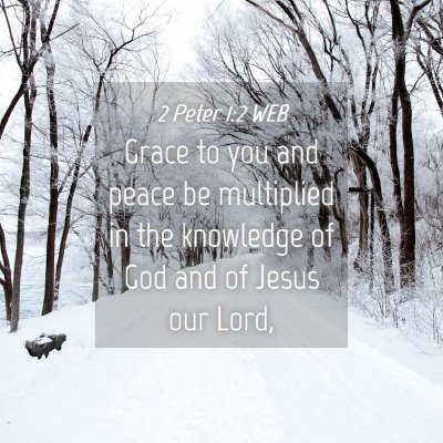 Picture 04 - 2 Peter 1:2 WEB - Grace to you and peace be multiplied in the - Bible Verse Picture
