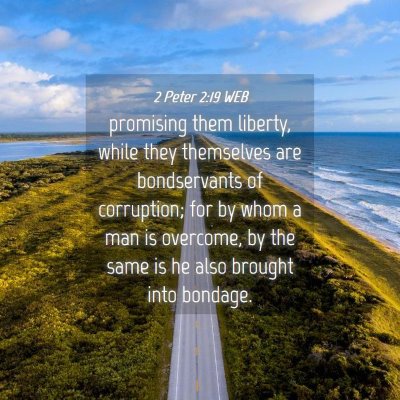 Picture 04 - 2 Peter 2:19 WEB - promising them liberty, while they themselves are - Bible Verse Picture