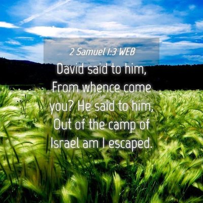 Picture 04 - 2 Samuel 1:3 WEB - David said to him, From whence come you? He said - Bible Verse Picture