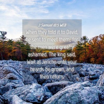 Picture 04 - 2 Samuel 10:5 WEB - When they told it to David, he sent to meet them; - Bible Verse Picture