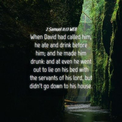 Picture 04 - 2 Samuel 11:13 WEB - When David had called him, he ate and drink - Bible Verse Picture