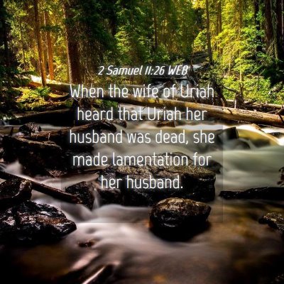 Picture 04 - 2 Samuel 11:26 WEB - When the wife of Uriah heard that Uriah her - Bible Verse Picture