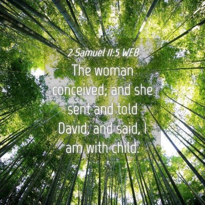 Picture 04 - 2 Samuel 11:5 WEB - The woman conceived; and she sent and told David, - Bible Verse Picture