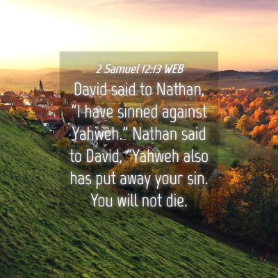 Picture 04 - 2 Samuel 12:13 WEB - David said to Nathan, 