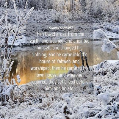 Picture 04 - 2 Samuel 12:20 WEB - Then David arose from the earth, and washed, and - Bible Verse Picture