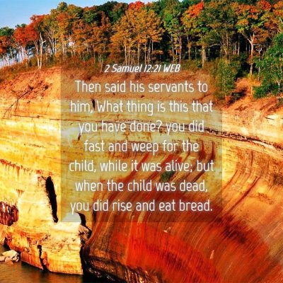 Picture 04 - 2 Samuel 12:21 WEB - Then said his servants to him, What thing is this - Bible Verse Picture