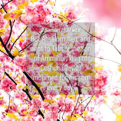 Picture 04 - 2 Samuel 13:37 WEB - But Absalom fled, and went to Talmai the son of - Bible Verse Picture