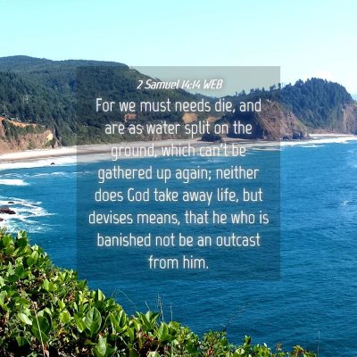 Picture 04 - 2 Samuel 14:14 WEB - For we must needs die, and are as water split on - Bible Verse Picture