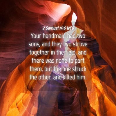 Picture 04 - 2 Samuel 14:6 WEB - Your handmaid had two sons, and they two strove - Bible Verse Picture