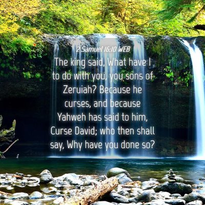 Picture 04 - 2 Samuel 16:10 WEB - The king said, What have I to do with you, you - Bible Verse Picture