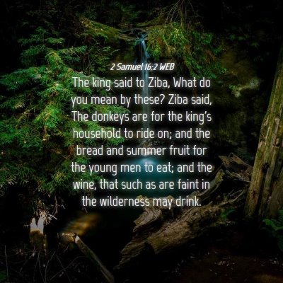 Picture 04 - 2 Samuel 16:2 WEB - The king said to Ziba, What do you mean by these? - Bible Verse Picture