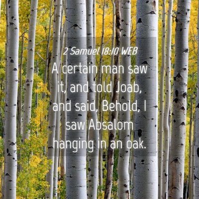 Picture 04 - 2 Samuel 18:10 WEB - A certain man saw it, and told Joab, and said, - Bible Verse Picture