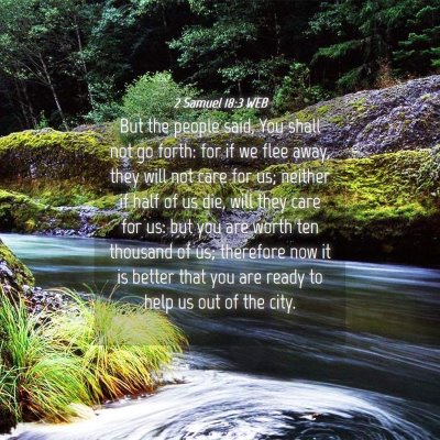 Picture 04 - 2 Samuel 18:3 WEB - But the people said, You shall not go forth: for - Bible Verse Picture