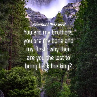 Picture 04 - 2 Samuel 19:12 WEB - You are my brothers, you are my bone and my - Bible Verse Picture