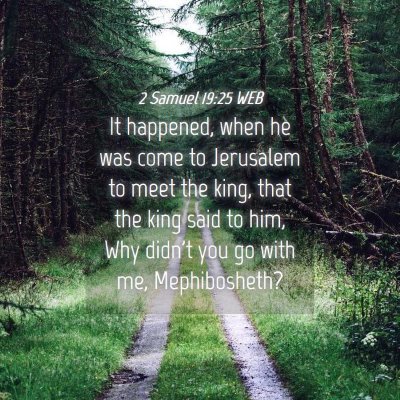 Picture 04 - 2 Samuel 19:25 WEB - It happened, when he was come to Jerusalem to - Bible Verse Picture