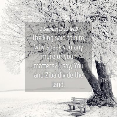 Picture 04 - 2 Samuel 19:29 WEB - The king said to him, Why speak you any more of - Bible Verse Picture