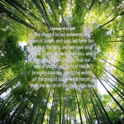 Picture 04 - 2 Samuel 19:43 WEB - The men of Israel answered the men of Judah, and - Bible Verse Picture