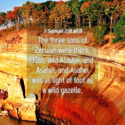 Picture 04 - 2 Samuel 2:18 WEB - The three sons of Zeruiah were there, Joab, and - Bible Verse Picture