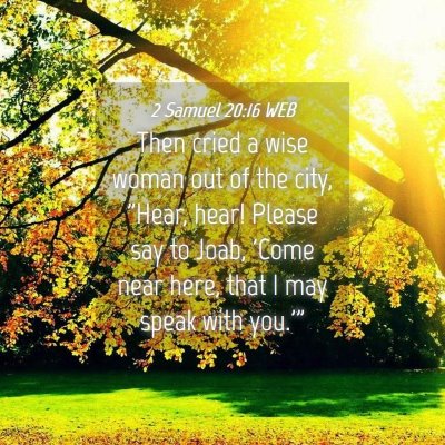Picture 04 - 2 Samuel 20:16 WEB - Then cried a wise woman out of the city, 