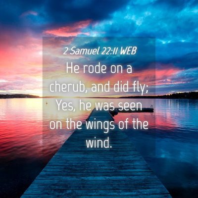 Picture 04 - 2 Samuel 22:11 WEB - He rode on a cherub, and did fly; Yes, he was - Bible Verse Picture