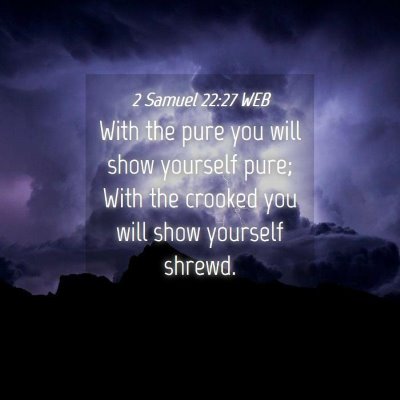 Picture 04 - 2 Samuel 22:27 WEB - With the pure you will show yourself pure; With - Bible Verse Picture
