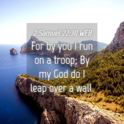 Picture 04 - 2 Samuel 22:30 WEB - For by you I run on a troop; By my God do I leap - Bible Verse Picture