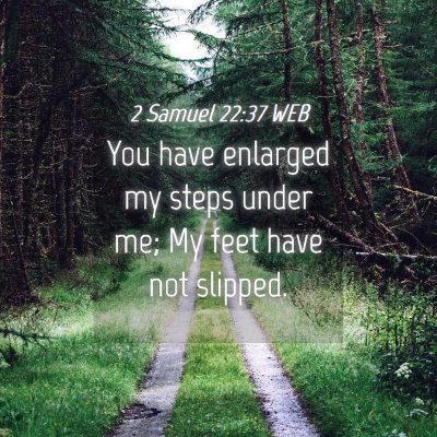 Picture 04 - 2 Samuel 22:37 WEB - You have enlarged my steps under me; My feet have - Bible Verse Picture