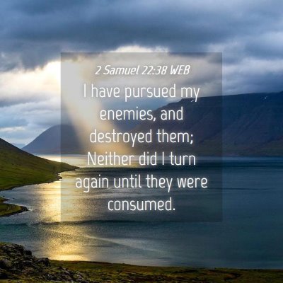 Picture 04 - 2 Samuel 22:38 WEB - I have pursued my enemies, and destroyed them; - Bible Verse Picture