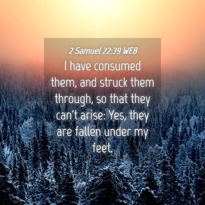 Picture 04 - 2 Samuel 22:39 WEB - I have consumed them, and struck them through, so - Bible Verse Picture