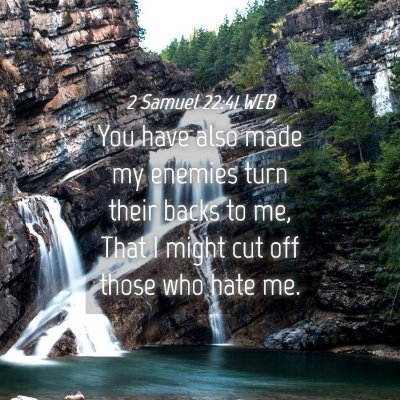 Picture 04 - 2 Samuel 22:41 WEB - You have also made my enemies turn their backs to - Bible Verse Picture