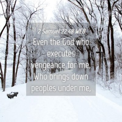 Picture 04 - 2 Samuel 22:48 WEB - Even the God who executes vengeance for me, Who - Bible Verse Picture