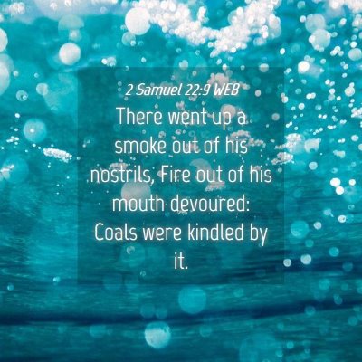 Picture 04 - 2 Samuel 22:9 WEB - There went up a smoke out of his nostrils, Fire - Bible Verse Picture