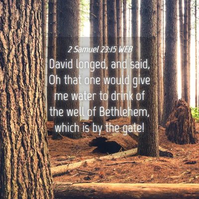 Picture 04 - 2 Samuel 23:15 WEB - David longed, and said, Oh that one would give me - Bible Verse Picture
