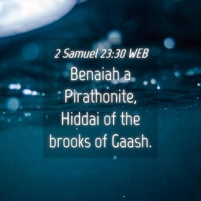 Picture 04 - 2 Samuel 23:30 WEB - Benaiah a Pirathonite, Hiddai of the brooks of - Bible Verse Picture