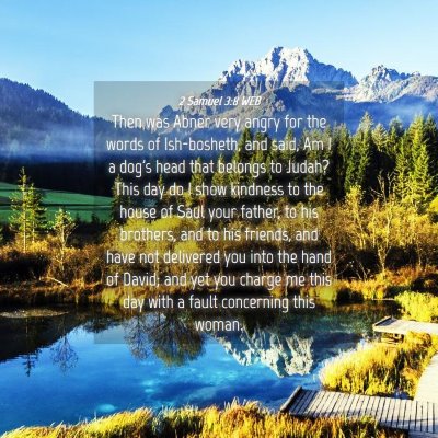 Picture 04 - 2 Samuel 3:8 WEB - Then was Abner very angry for the words of - Bible Verse Picture