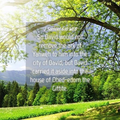 Picture 04 - 2 Samuel 6:10 WEB - So David would not remove the ark of Yahweh to - Bible Verse Picture