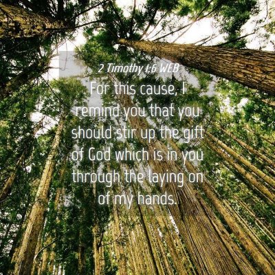 Picture 04 - 2 Timothy 1:6 WEB - For this cause, I remind you that you should stir - Bible Verse Picture
