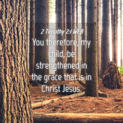 Picture 04 - 2 Timothy 2:1 WEB - You therefore, my child, be strengthened in the - Bible Verse Picture